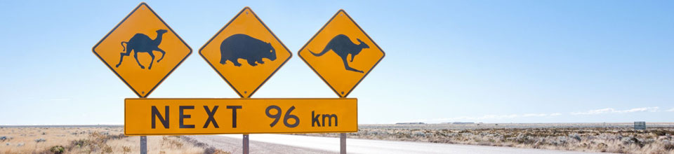 Domestic Travel Insurance Australia Travel Insurance Saver