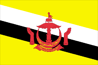 Flag Brunei Travel Insurance