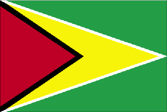Flag Guyana Travel Insurance