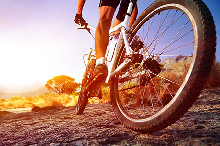Mountain Bike Travel Insurance