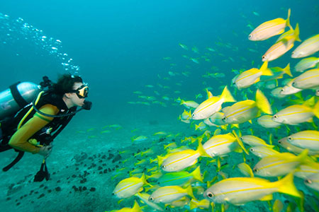 - Scuba Diving Travel Insurance 3