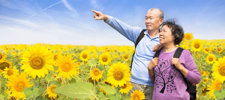 Seniors travel insurance cover