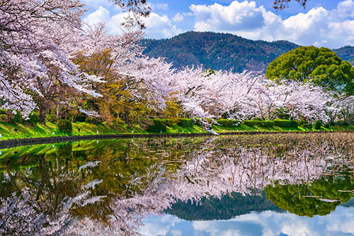 Travel insurance to Japan Travel insurance to Japan