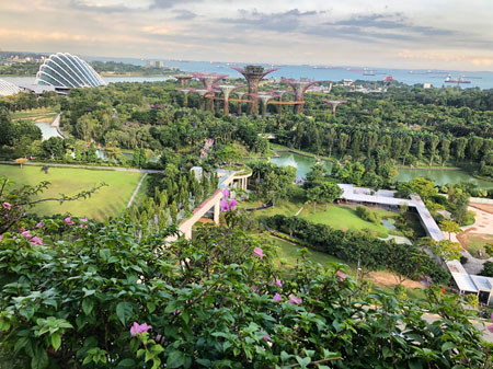 Singapore gardens Singapore gardens
