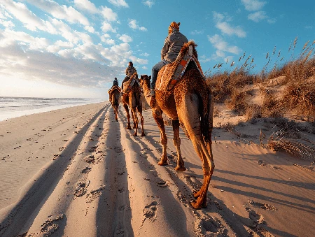 Travel insurance when Camel Riding Travel insurance when Camel Riding