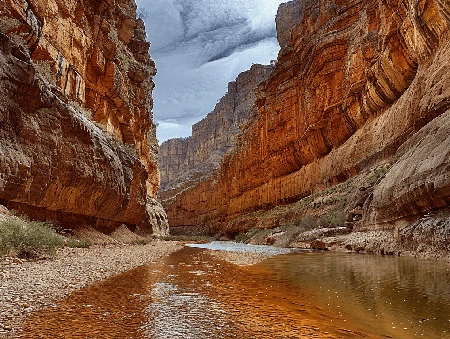 Travel insurance when canyon swinging Travel insurance when canyon swinging